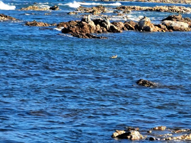 6 Bedroom Property for Sale in Kleinbaai Western Cape